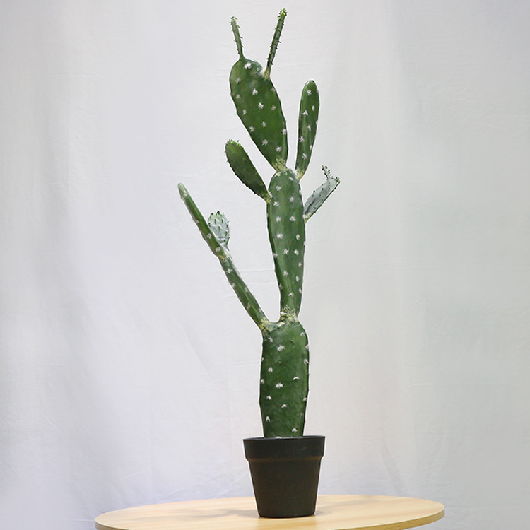 American-Home-Decor-87cm-Tufting-Flat-Cactus-Plantas-Crasas-Mini-Cactus-Plants-for-Sale (1).jpg